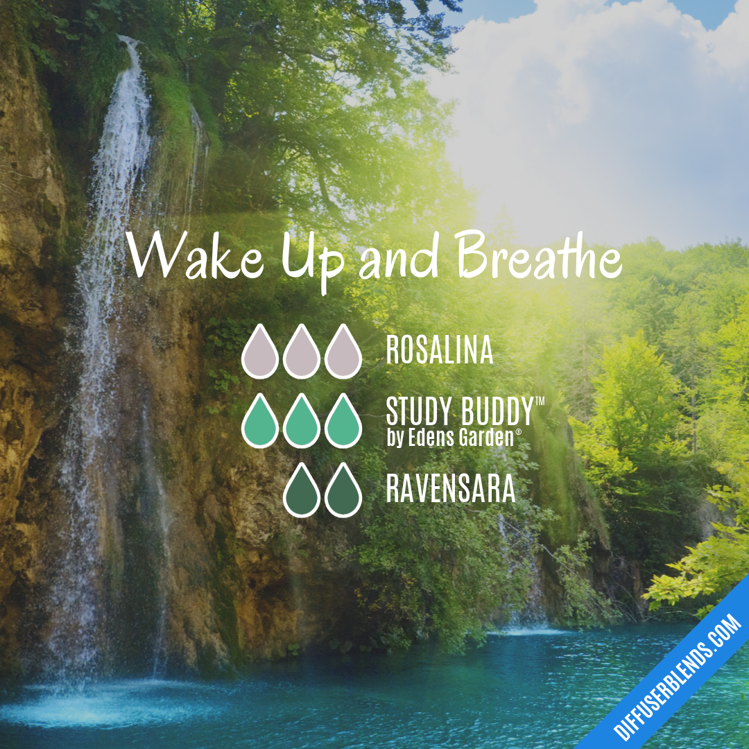 Wake Up and Breathe — Essential Oil Diffuser Blend