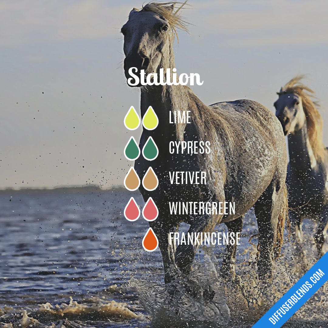 Stallion — Essential Oil Diffuser Blend