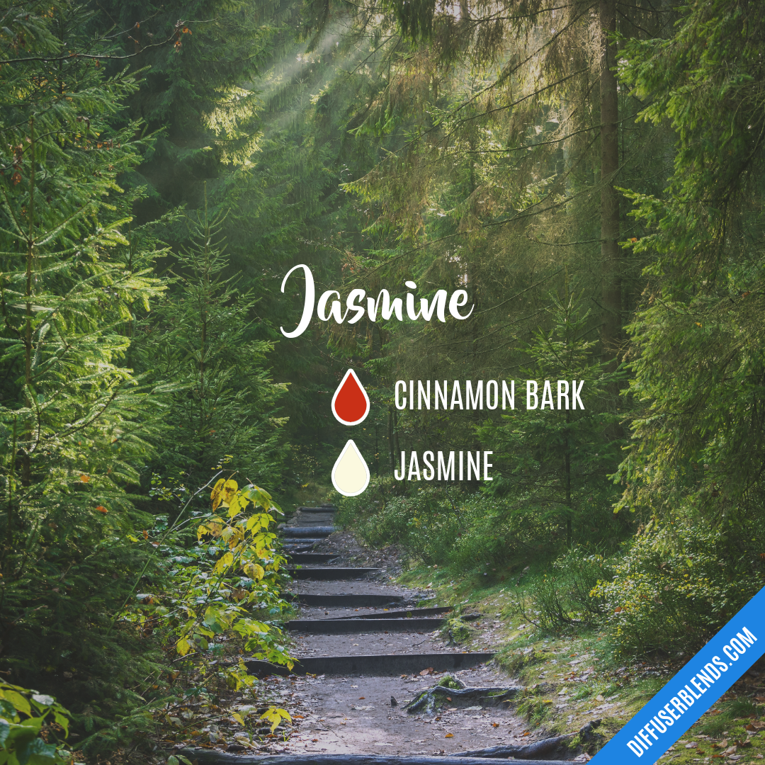 Jasmine — Essential Oil Diffuser Blend