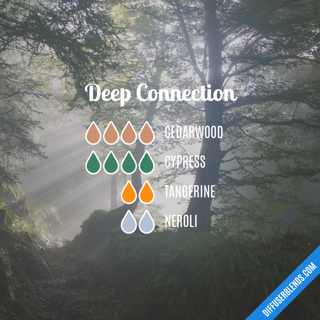 Deep Connection — Essential Oil Diffuser Blend