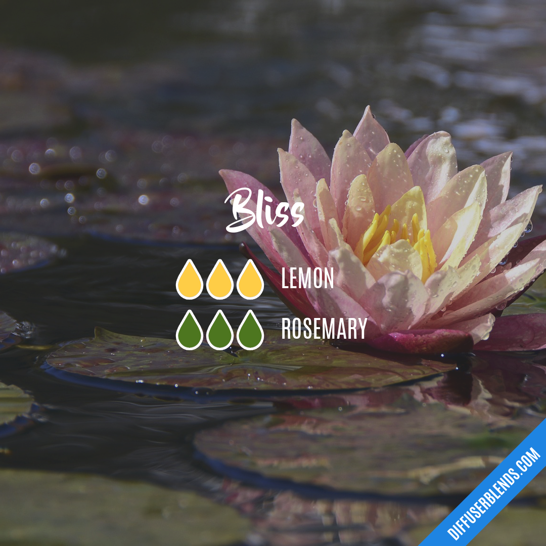 Bliss — Essential Oil Diffuser Blend