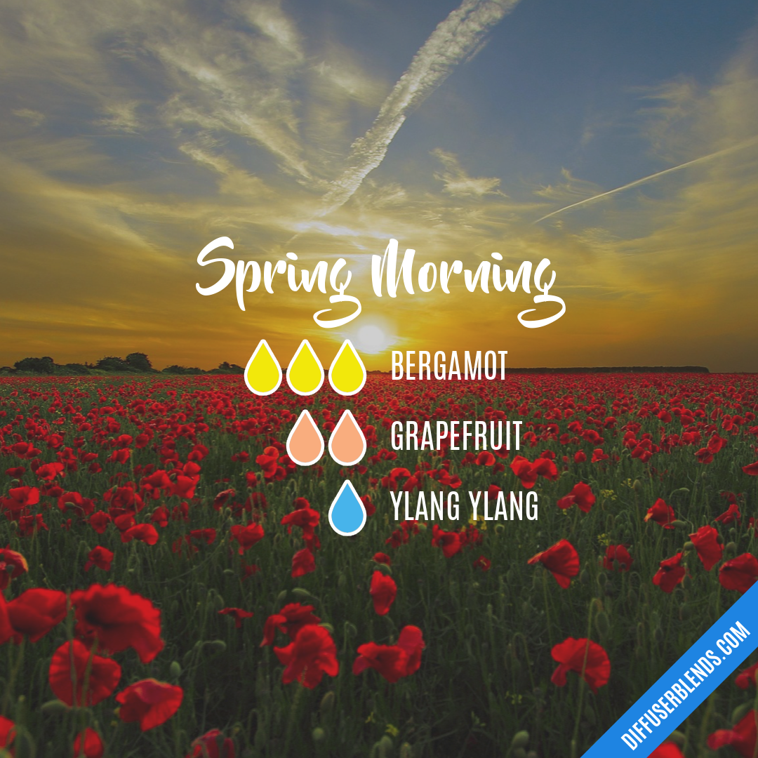 Spring Morning — Essential Oil Diffuser Blend