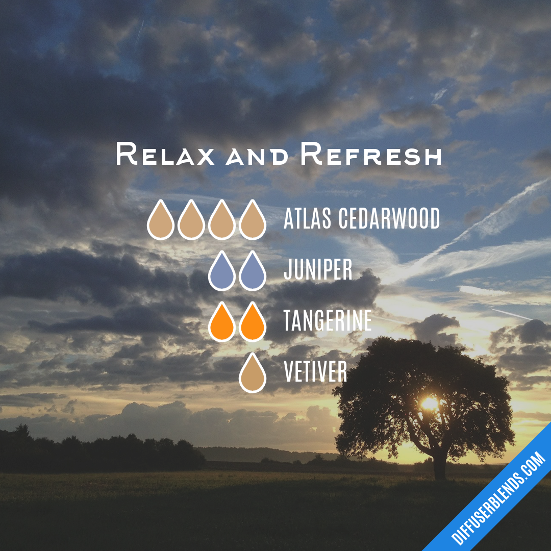 Relax and Refresh — Essential Oil Diffuser Blend