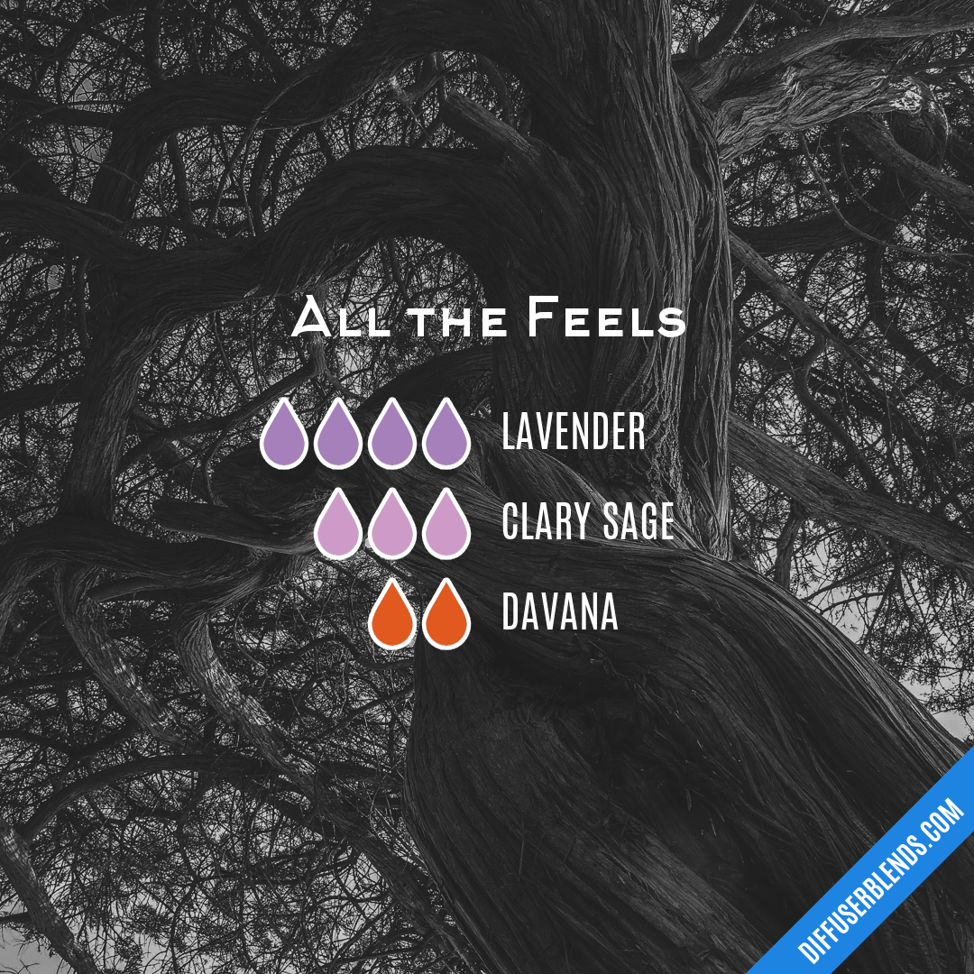 All the Feels — Essential Oil Diffuser Blend