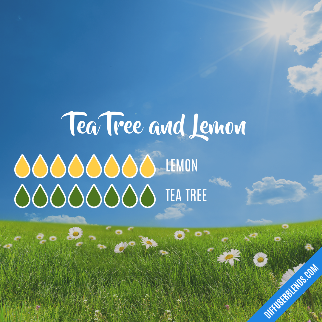 Tea Tree and Lemon — Essential Oil Diffuser Blend