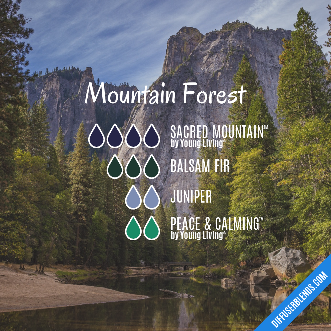 Mountain Forest — Essential Oil Diffuser Blend