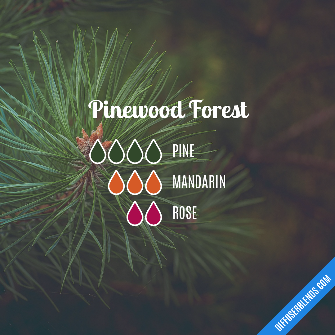 Pinewood Forest — Essential Oil Diffuser Blend