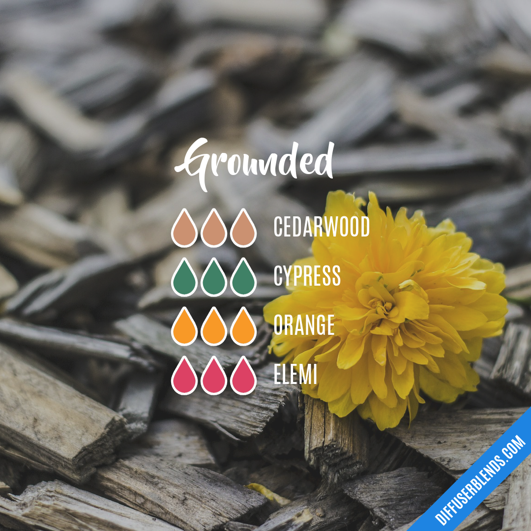 Grounded — Essential Oil Diffuser Blend
