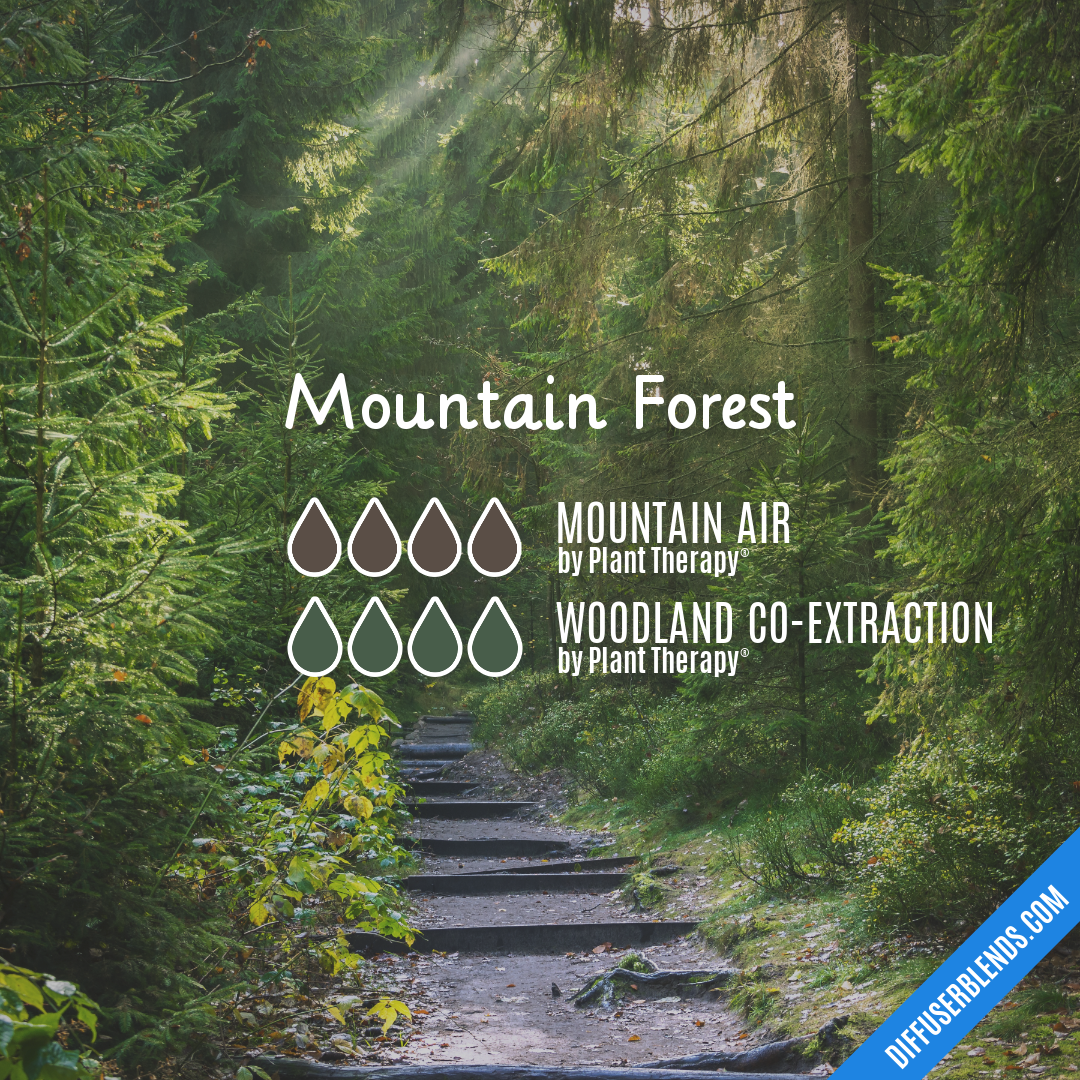Mountain Forest — Essential Oil Diffuser Blend