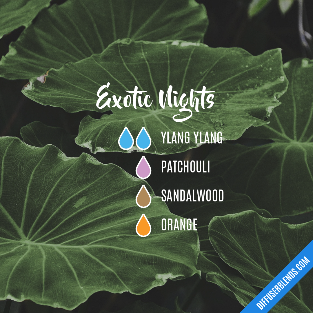 Exotic Nights — Essential Oil Diffuser Blend