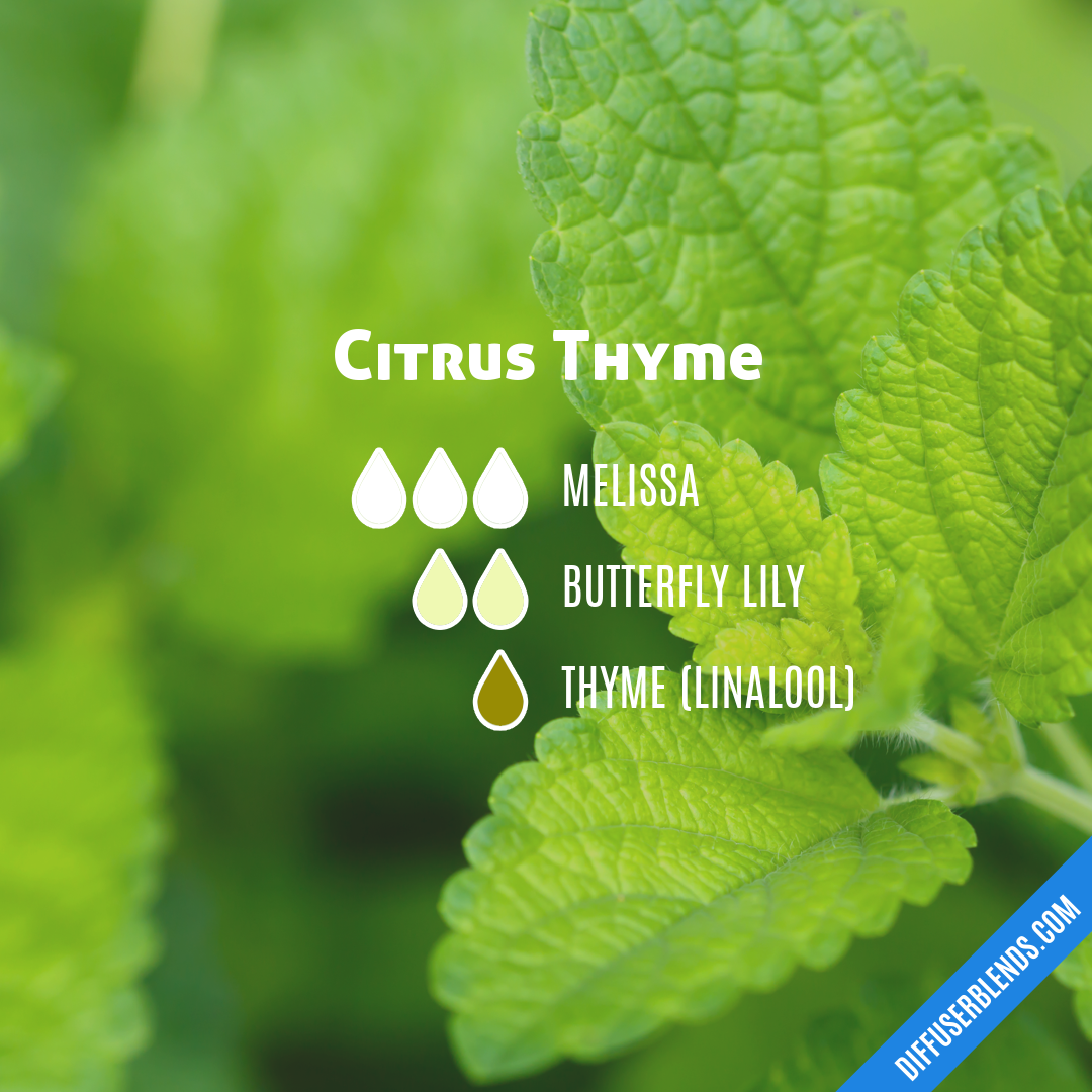 Citrus Thyme — Essential Oil Diffuser Blend