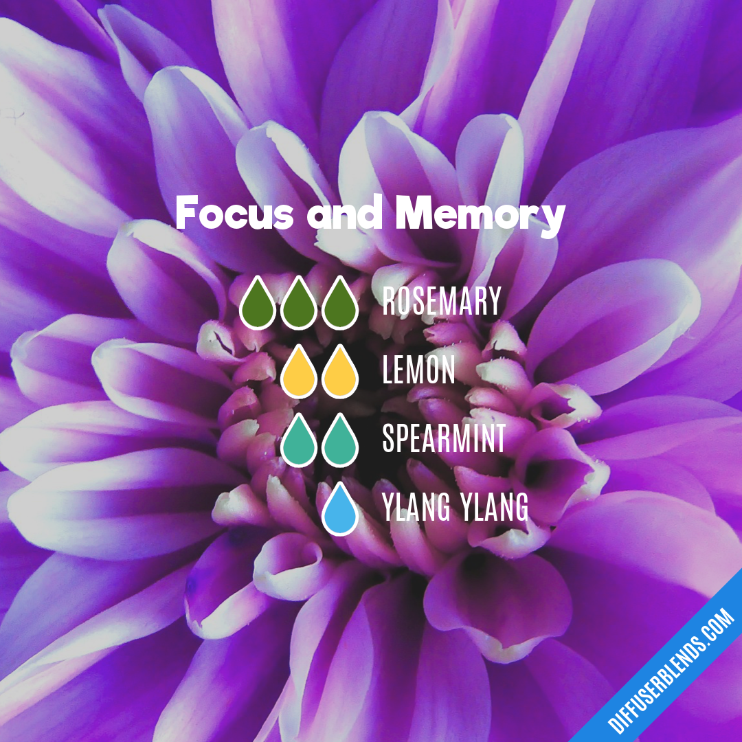 Focus and Memory — Essential Oil Diffuser Blend