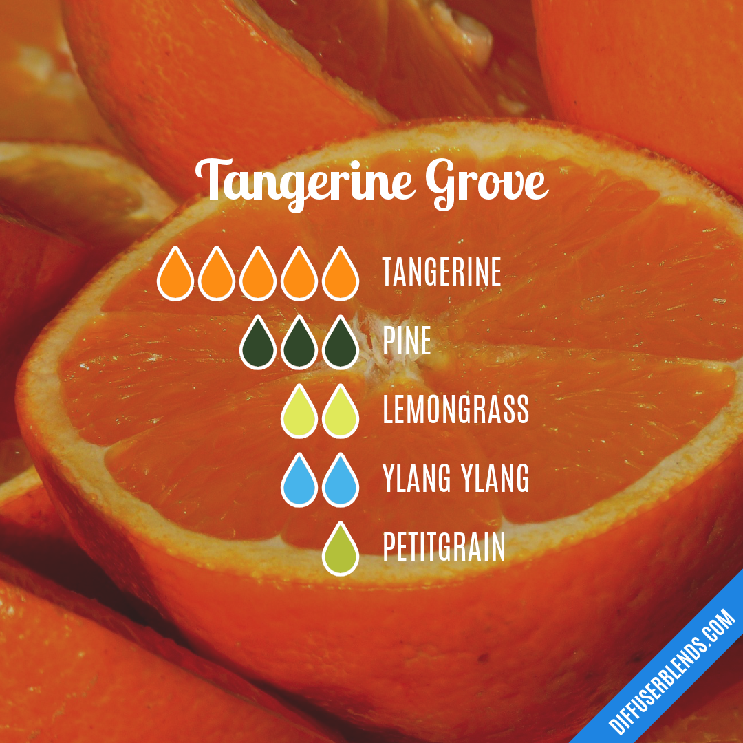 Tangerine Grove — Essential Oil Diffuser Blend