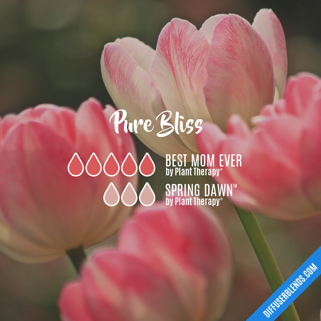 Pure Bliss — Essential Oil Diffuser Blend