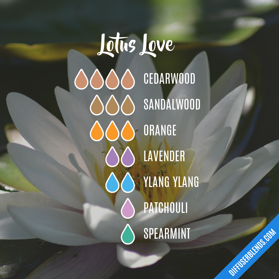 Lotus Love — Essential Oil Diffuser Blend