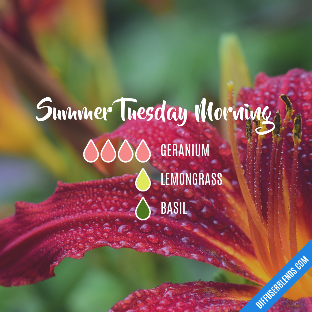 Summer Tuesday Morning — Essential Oil Diffuser Blend