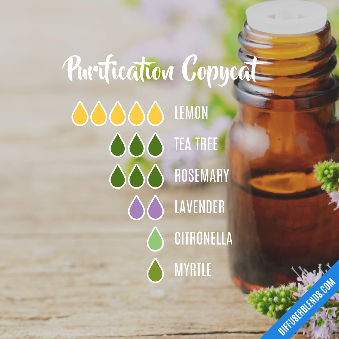 Purification Copycat — Essential Oil Diffuser Blend