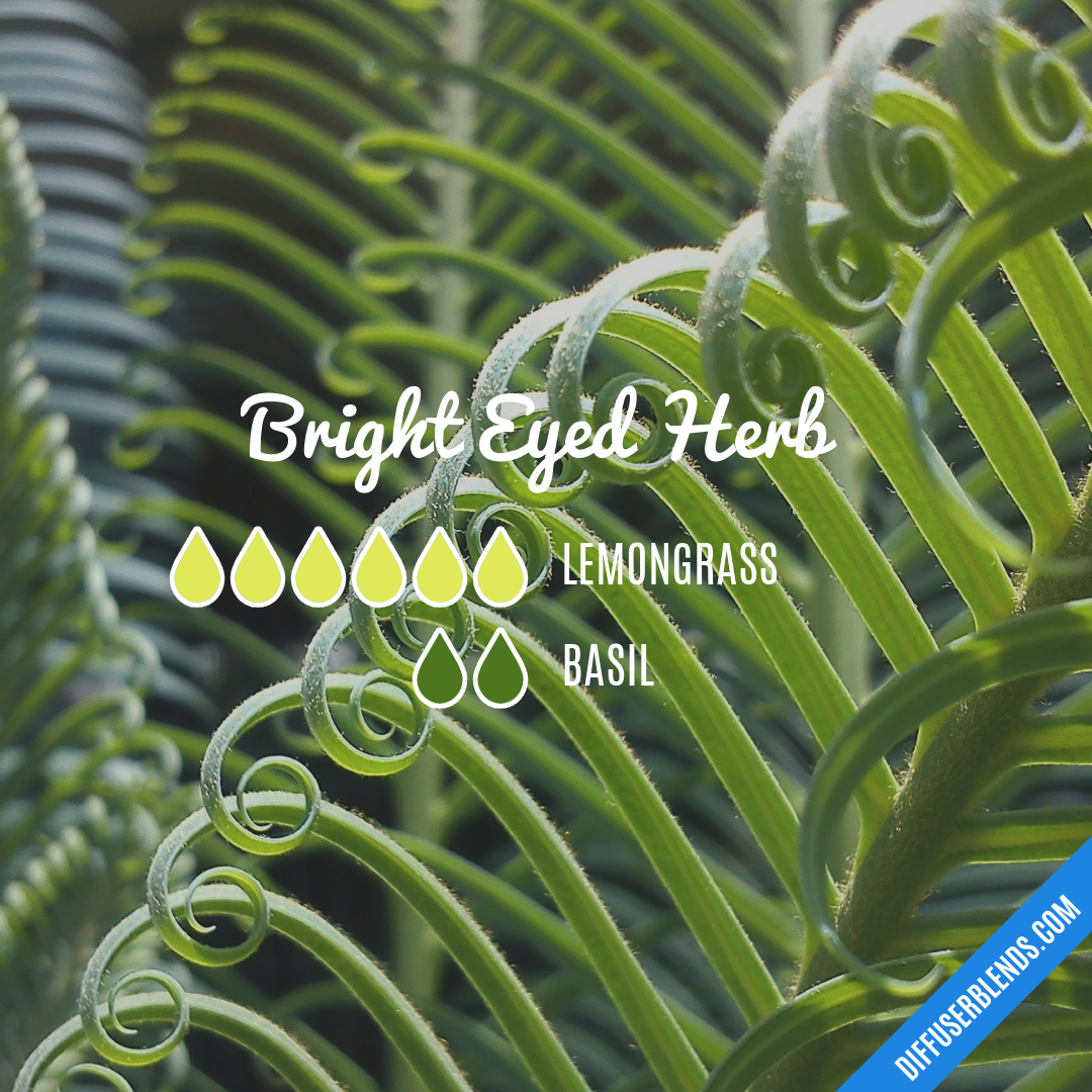Bright Eyed Herb — Essential Oil Diffuser Blend