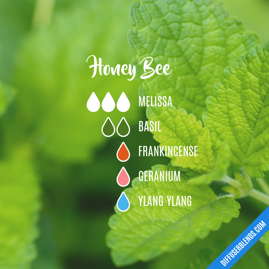 12 Essential Oil Blends for Your Diffuser. - The Pretty Bee