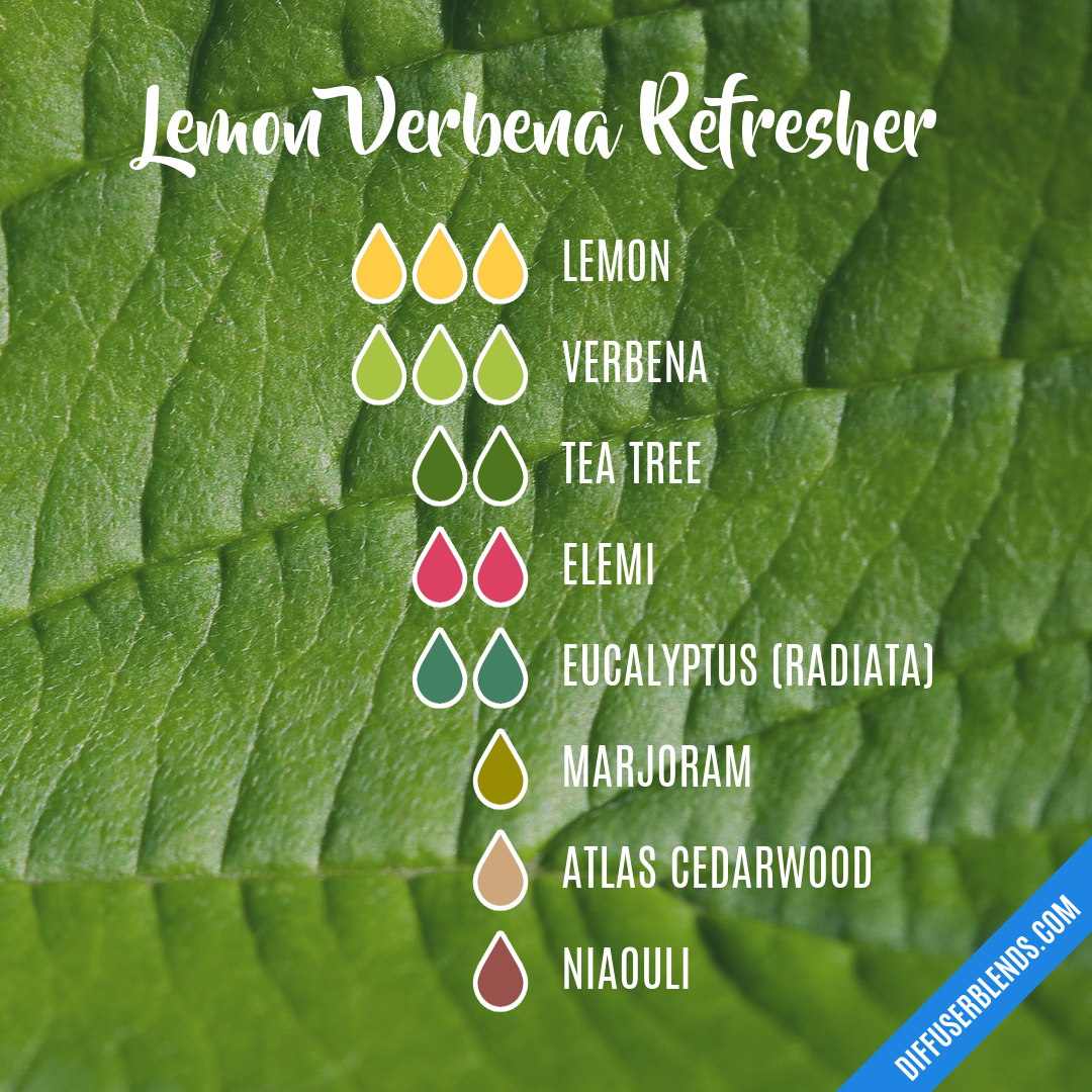 Lemon Verbena Essential Oil 15 Ml 