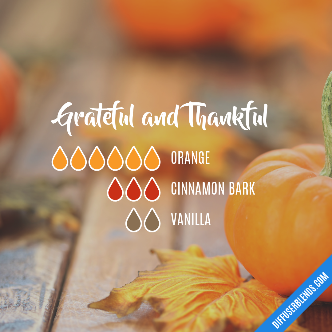 Grateful and Thankful — Essential Oil Diffuser Blend