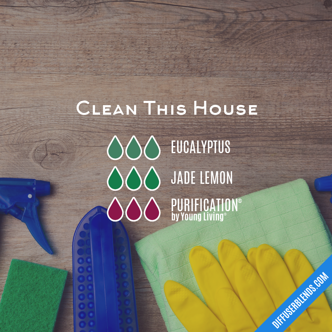 Clean This House — Essential Oil Diffuser Blend
