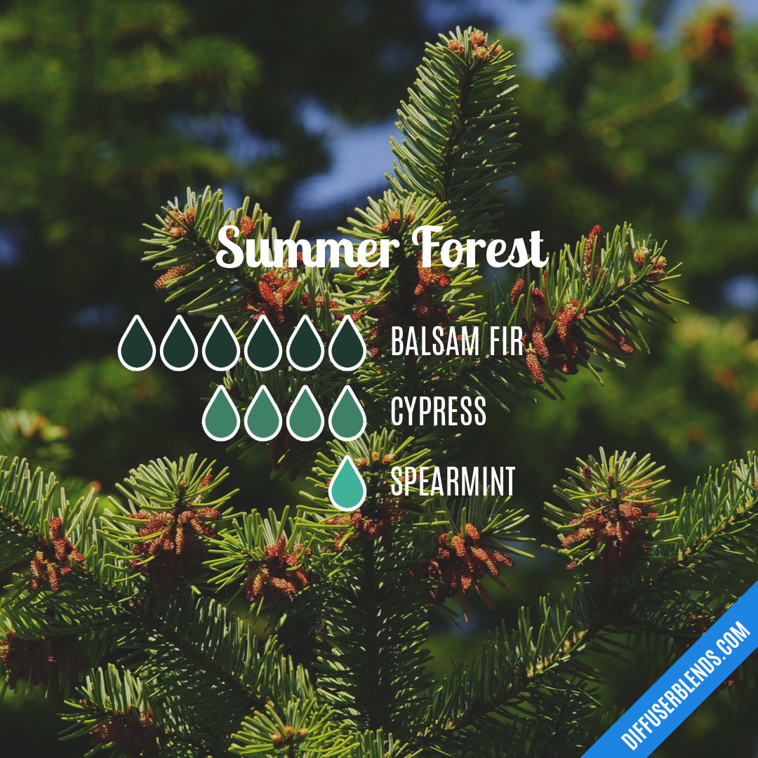 Summer Forest — Essential Oil Diffuser Blend