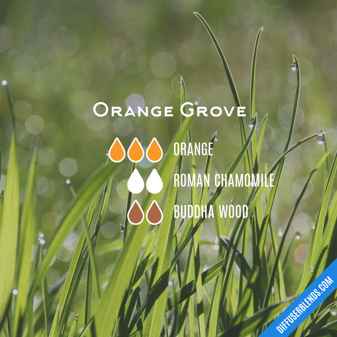 Orange Grove — Essential Oil Diffuser Blend