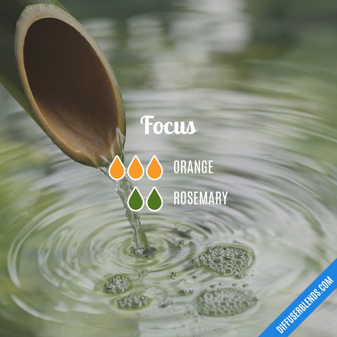 Focus — Essential Oil Diffuser Blend