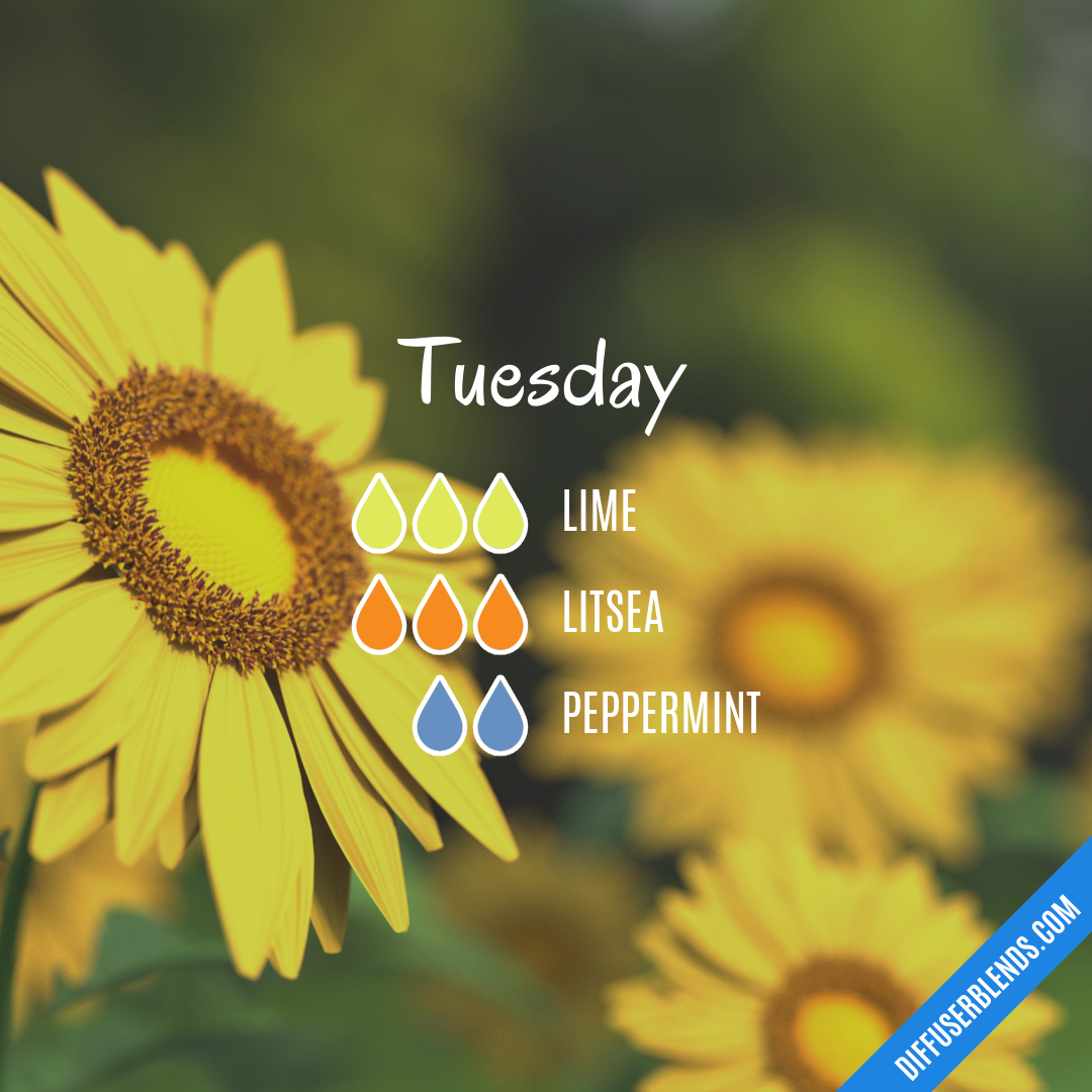 Tuesday — Essential Oil Diffuser Blend