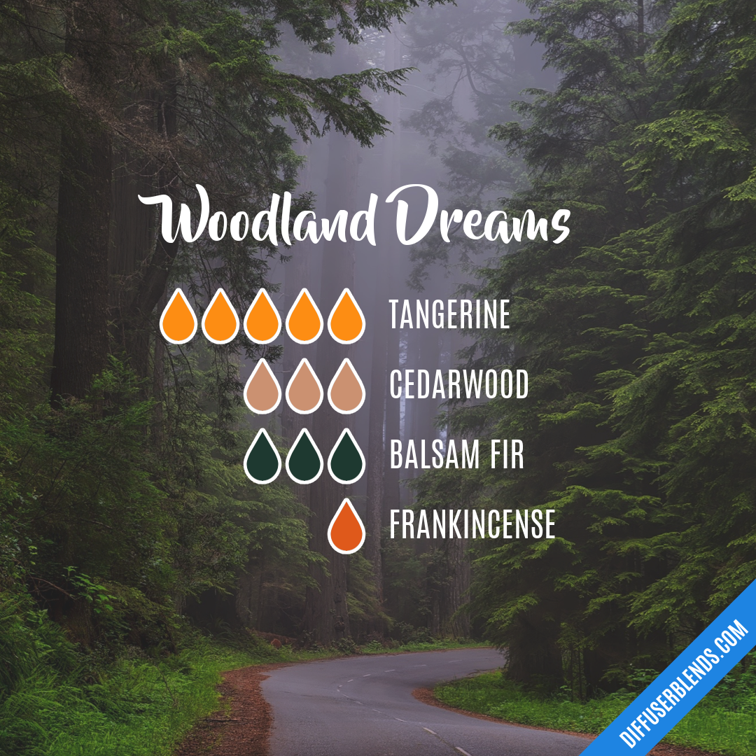 Woodland Dreams — Essential Oil Diffuser Blend