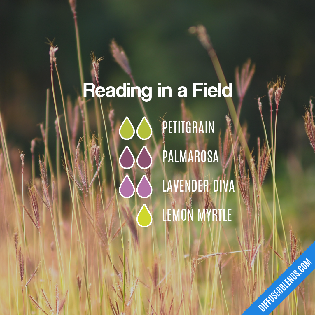 Reading in a Field — Essential Oil Diffuser Blend