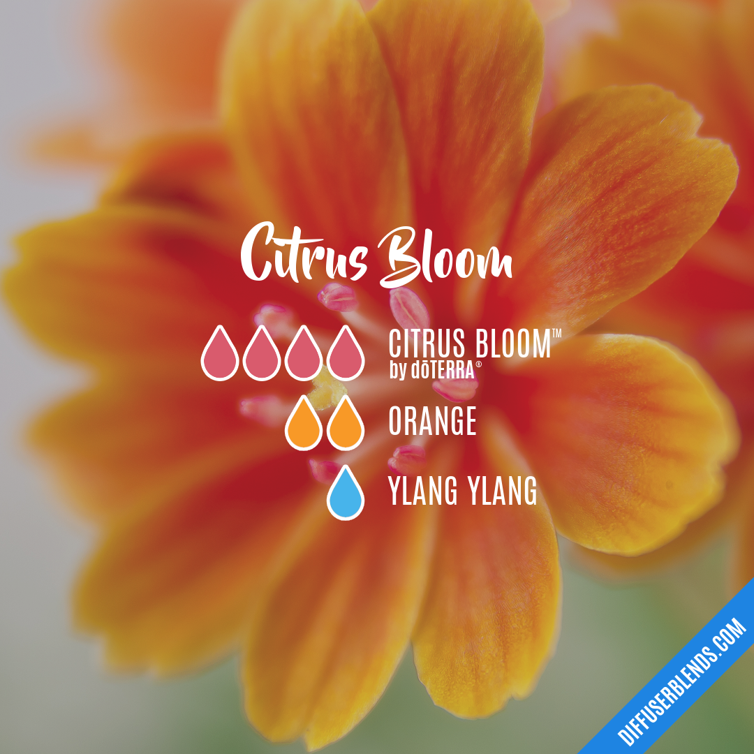 Citrus Bloom — Essential Oil Diffuser Blend