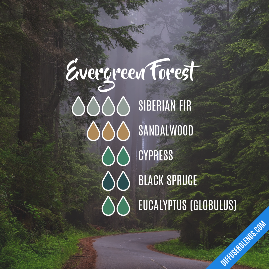 Evergreen Forest — Essential Oil Diffuser Blend