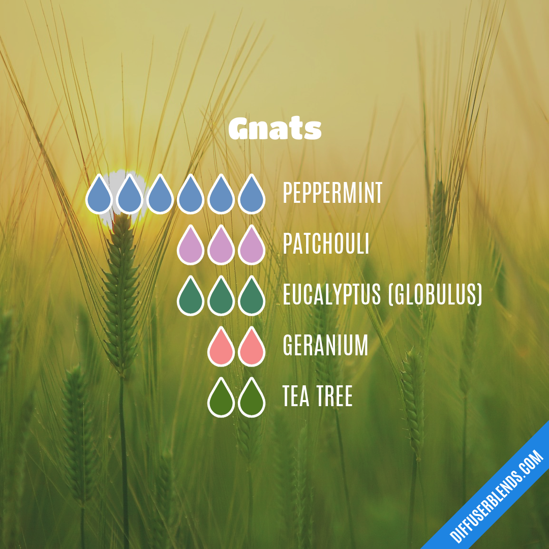 Gnats — Essential Oil Diffuser Blend