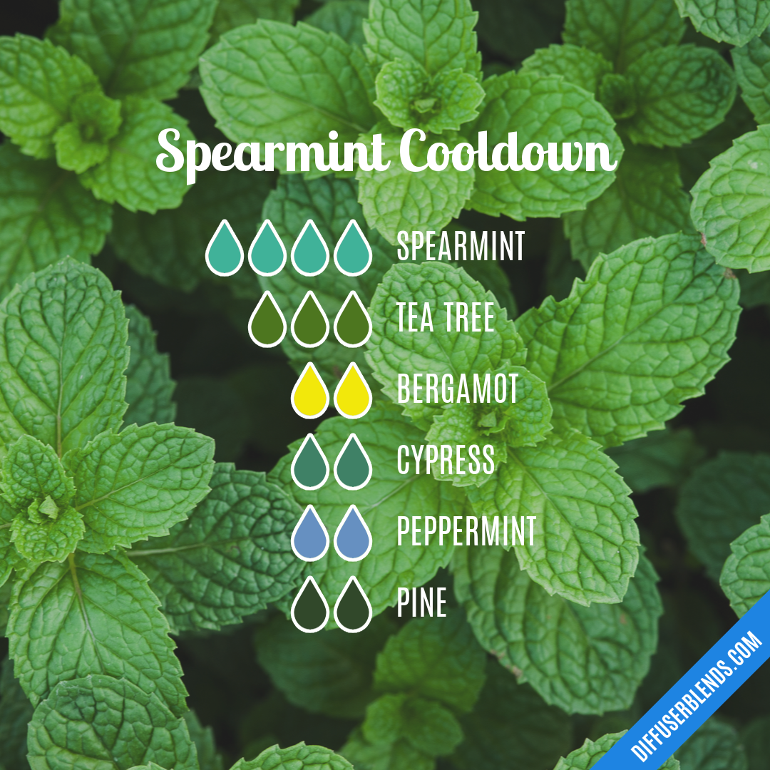 Spearmint Cooldown — Essential Oil Diffuser Blend