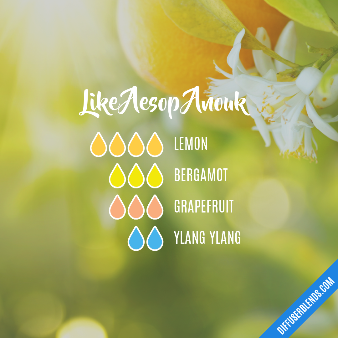 Like Aesop Anouk — Essential Oil Diffuser Blend