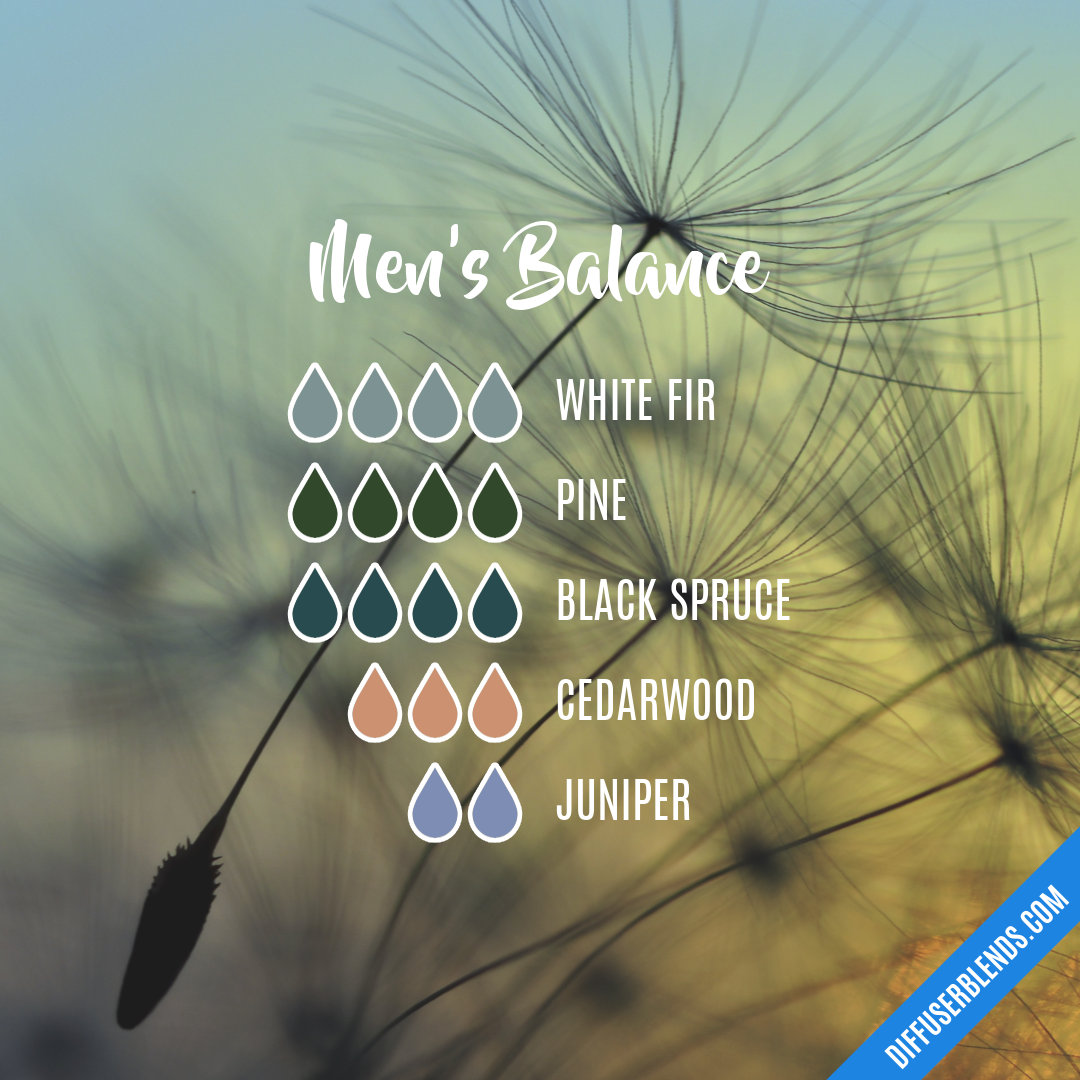 Men's Balance — Essential Oil Diffuser Blend
