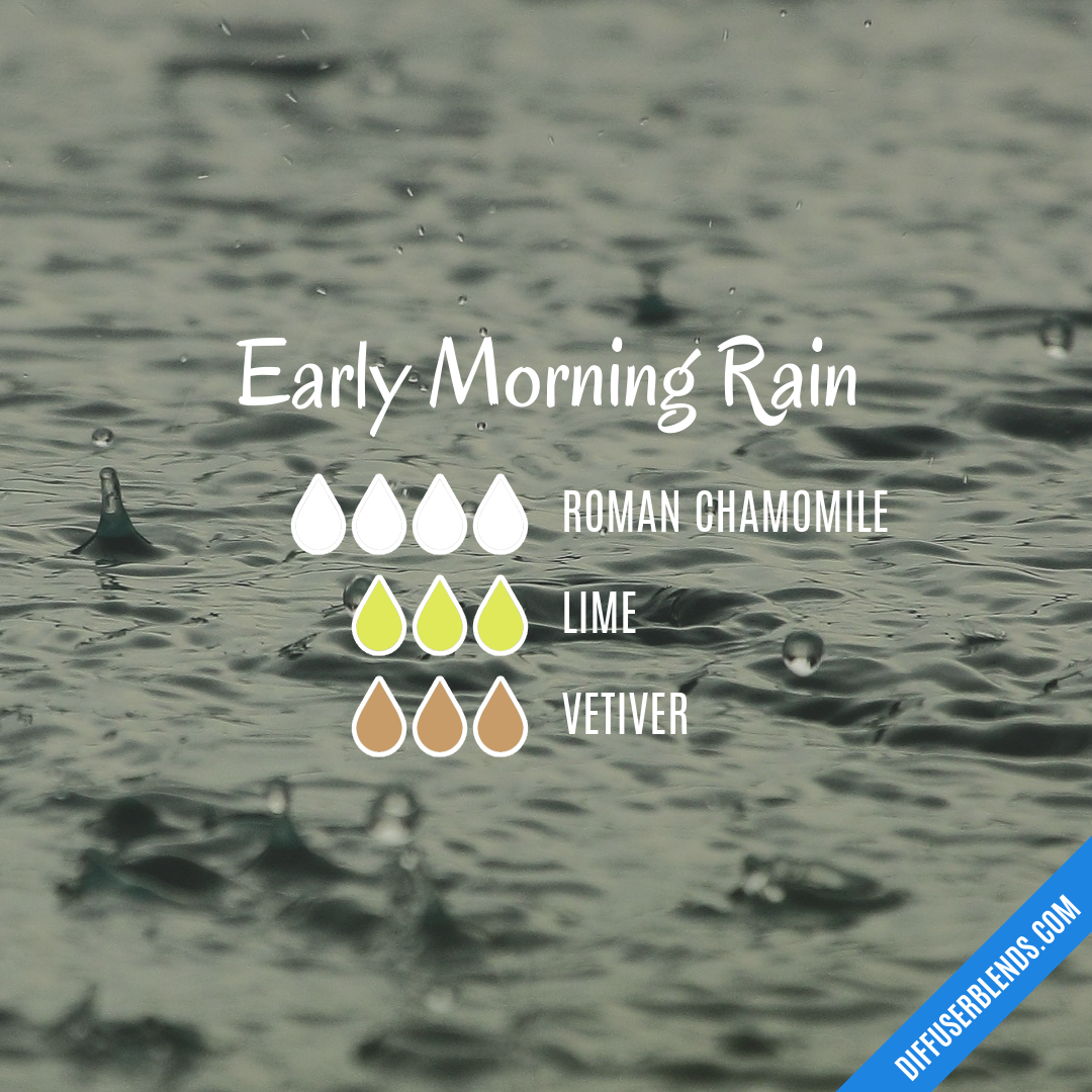 Early Morning Rain — Essential Oil Diffuser Blend