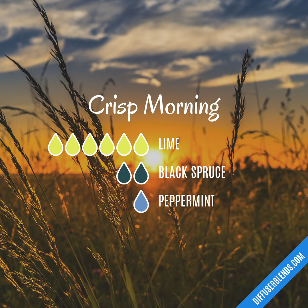 Crisp Morning — Essential Oil Diffuser Blend
