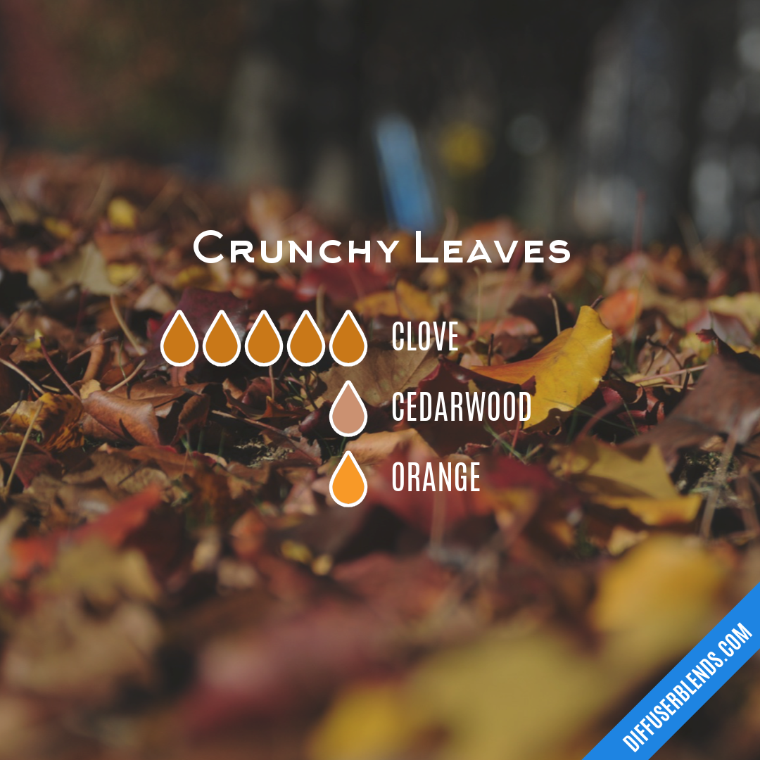 Crunchy Leaves — Essential Oil Diffuser Blend