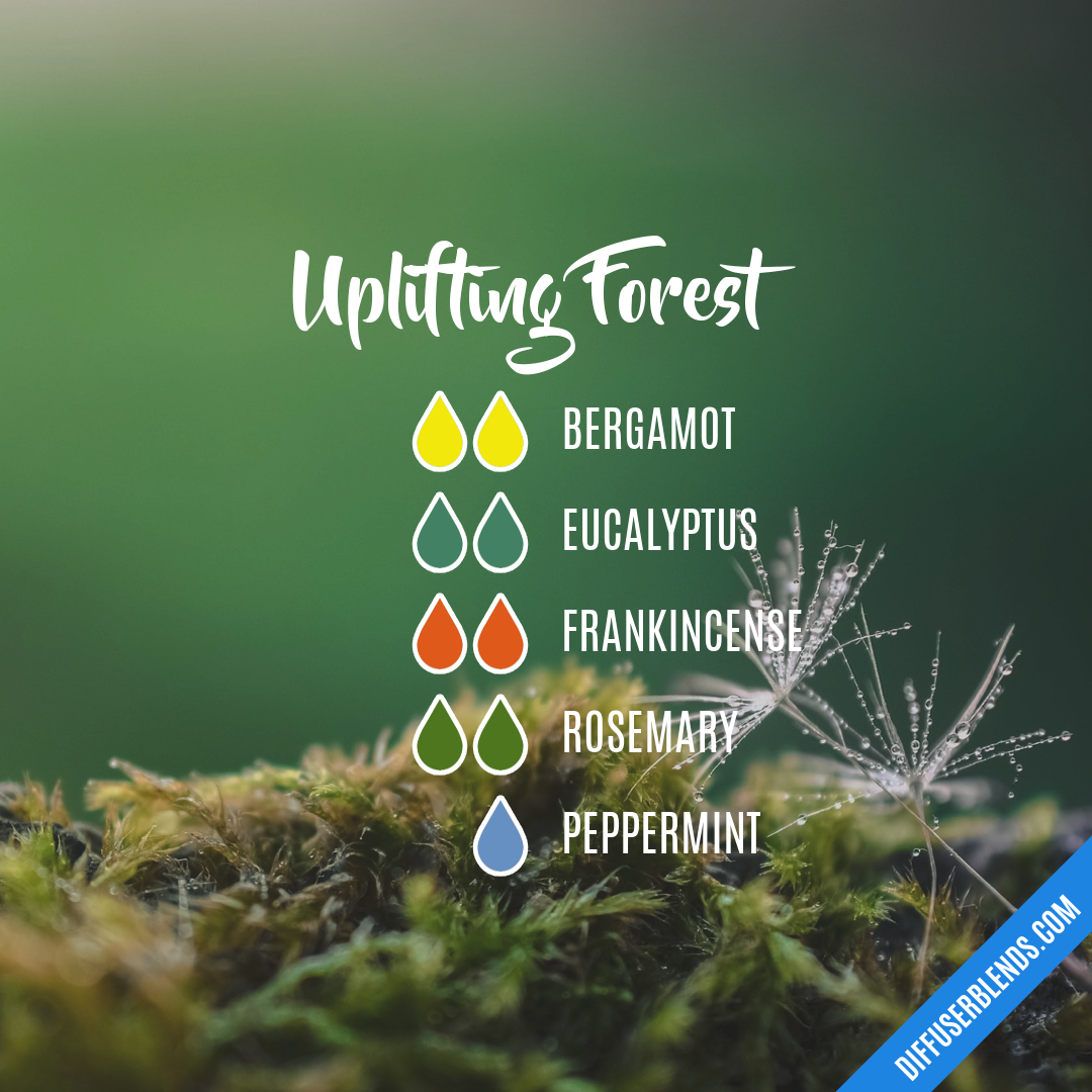 Uplifting Forest — Essential Oil Diffuser Blend