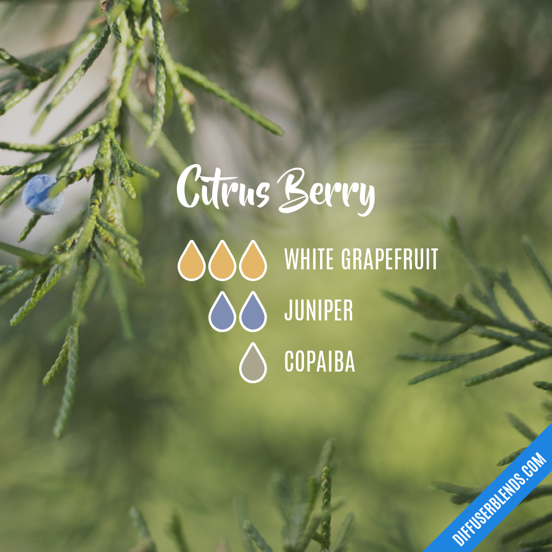 Citrus Berry — Essential Oil Diffuser Blend