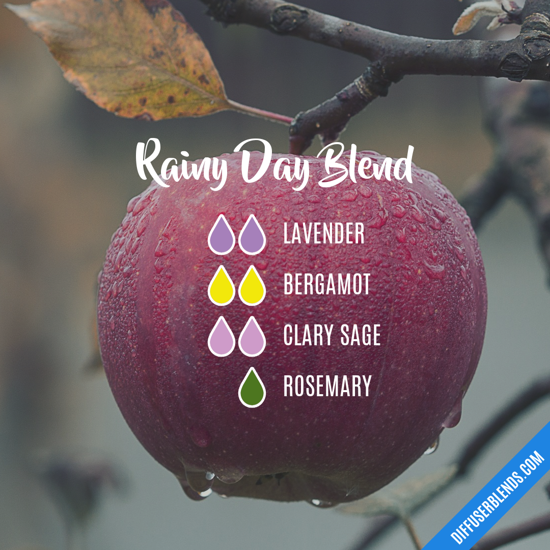 Rainy Day Blend — Essential Oil Diffuser Blend