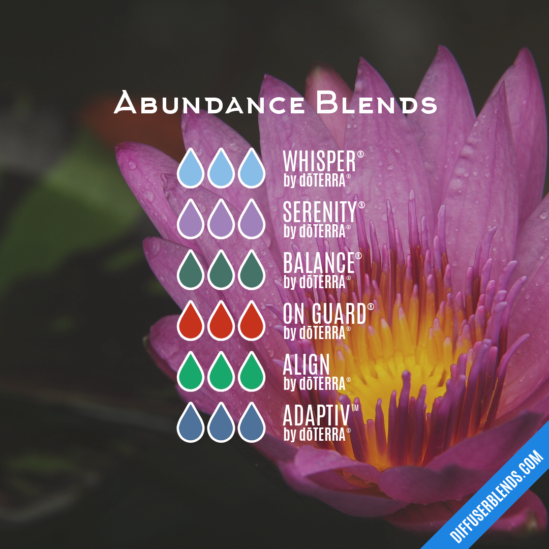 Abundance Blends — Essential Oil Diffuser Blend