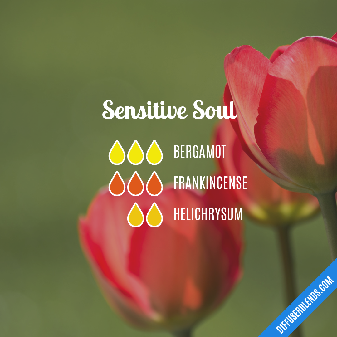 a sensitive soul a heart of wild a sensitive soul a heart of wild