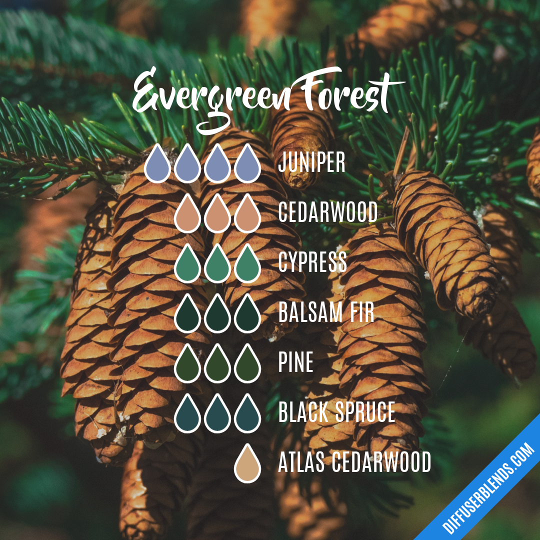 Evergreen Forest — Essential Oil Diffuser Blend