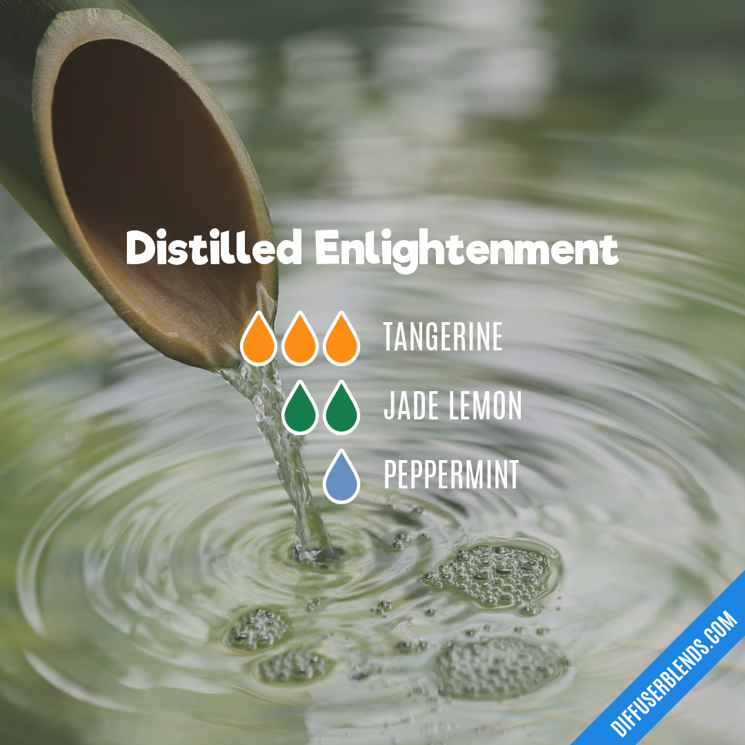 Distilled Enlightenment — Essential Oil Diffuser Blend