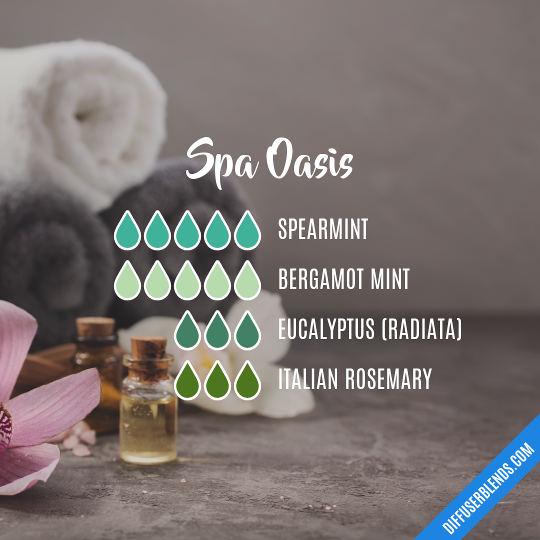 Create a Southwestern Oasis: Essential Decor Elements for Your Home