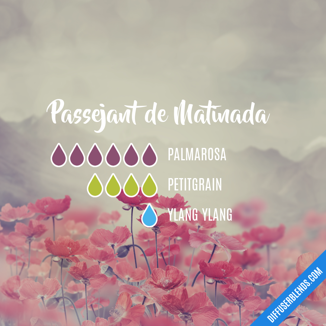 Lista 33+ Imagen de fondo que volen aquesta gent que truquen de matinada lletra El último Lista 33+ Imagen de fondo que volen aquesta gent que truquen de matinada lletra El último